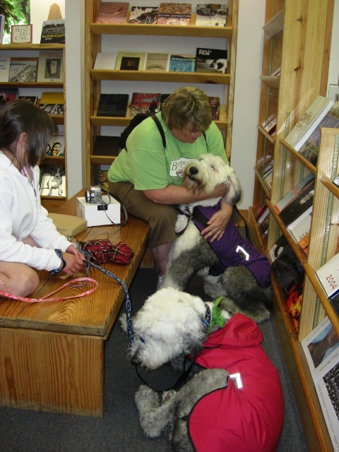 /images/events/12/wigglebums in raincoats resting in the bookstore.JPG